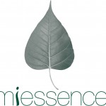 MiEssence+leaf 567